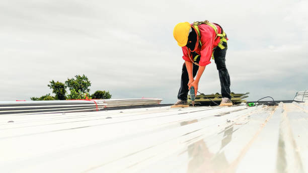 Best Steel Roofing  in Fountain Inn, SC