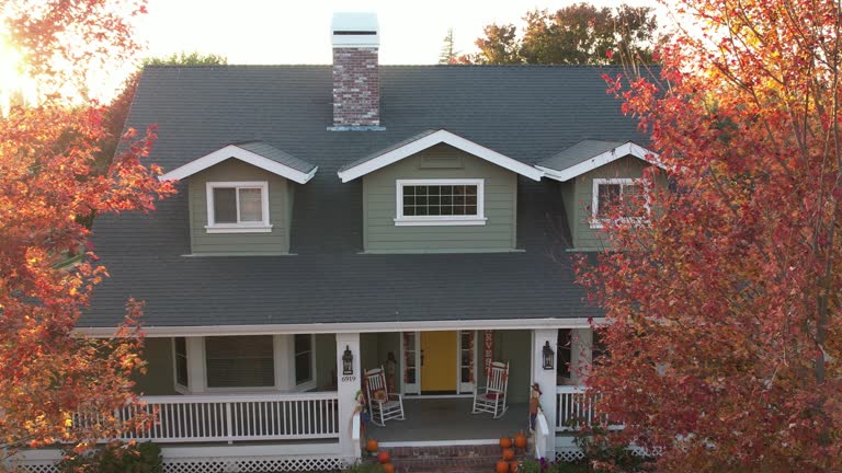 Best Roof Moss and Algae Removal  in Fountain Inn, SC